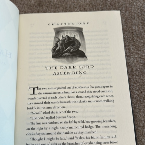 Harry Potter and the Deathly Hallows Book - Picture 4 of 6